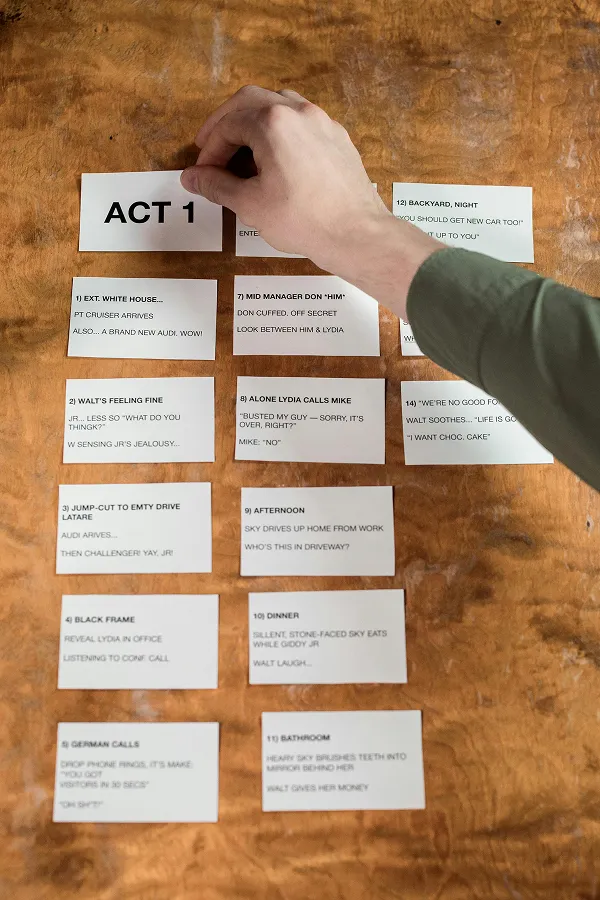 Expert Screenplay Writing Services by Pelikan Publishers